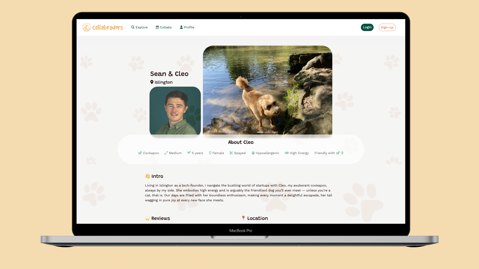 Collabradors pet and owner profile page 1 of 2